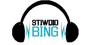 Web design logo for Machnylleth based business stiwdio bing