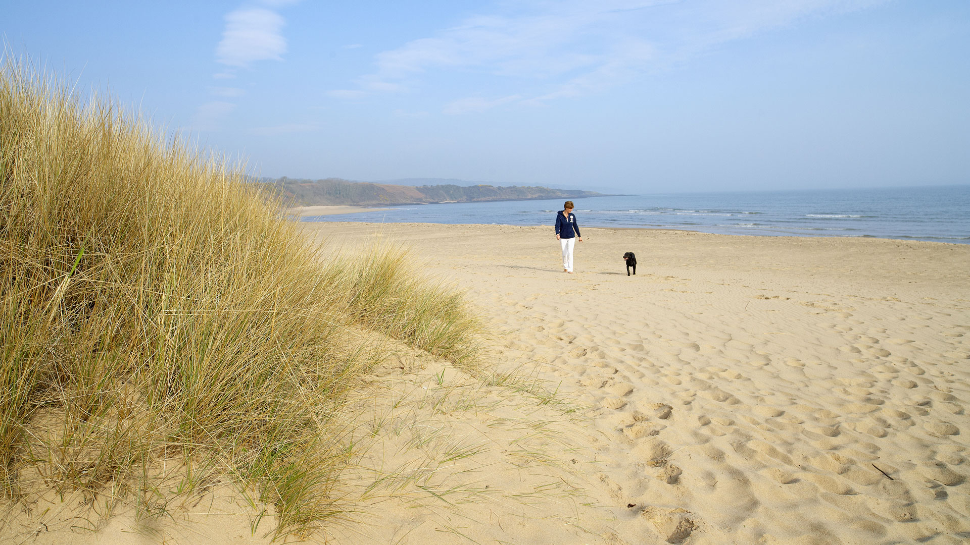 A man walks his dog across a sandy beach by the sea which bends round a grassy sand dune bank
