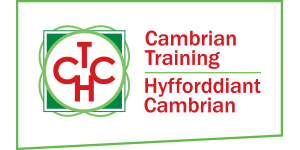 Web Design logo for Mid Wales business cambrian training