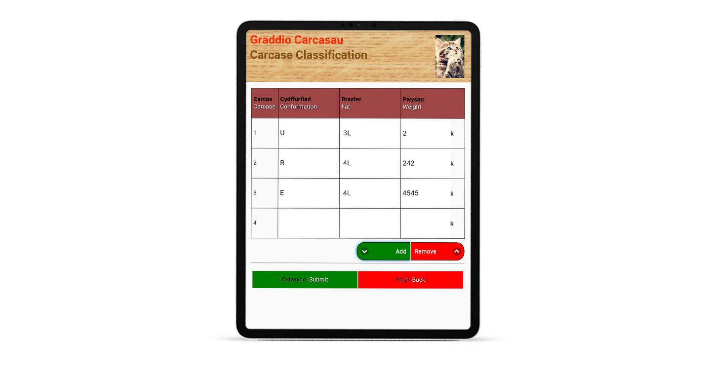 The new HCC carcass app carcase classification page displayed on an ipad