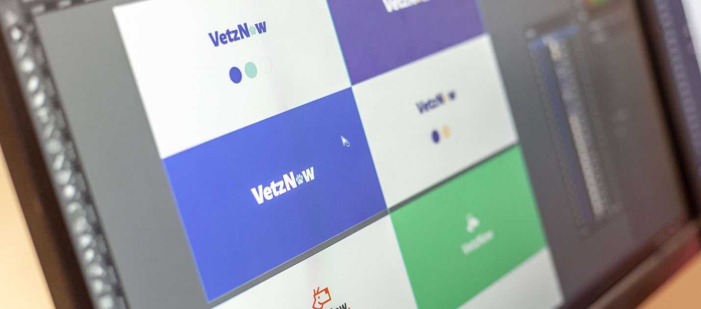 A computer screen showing a range of different vet bradning logo concepts for vetznow