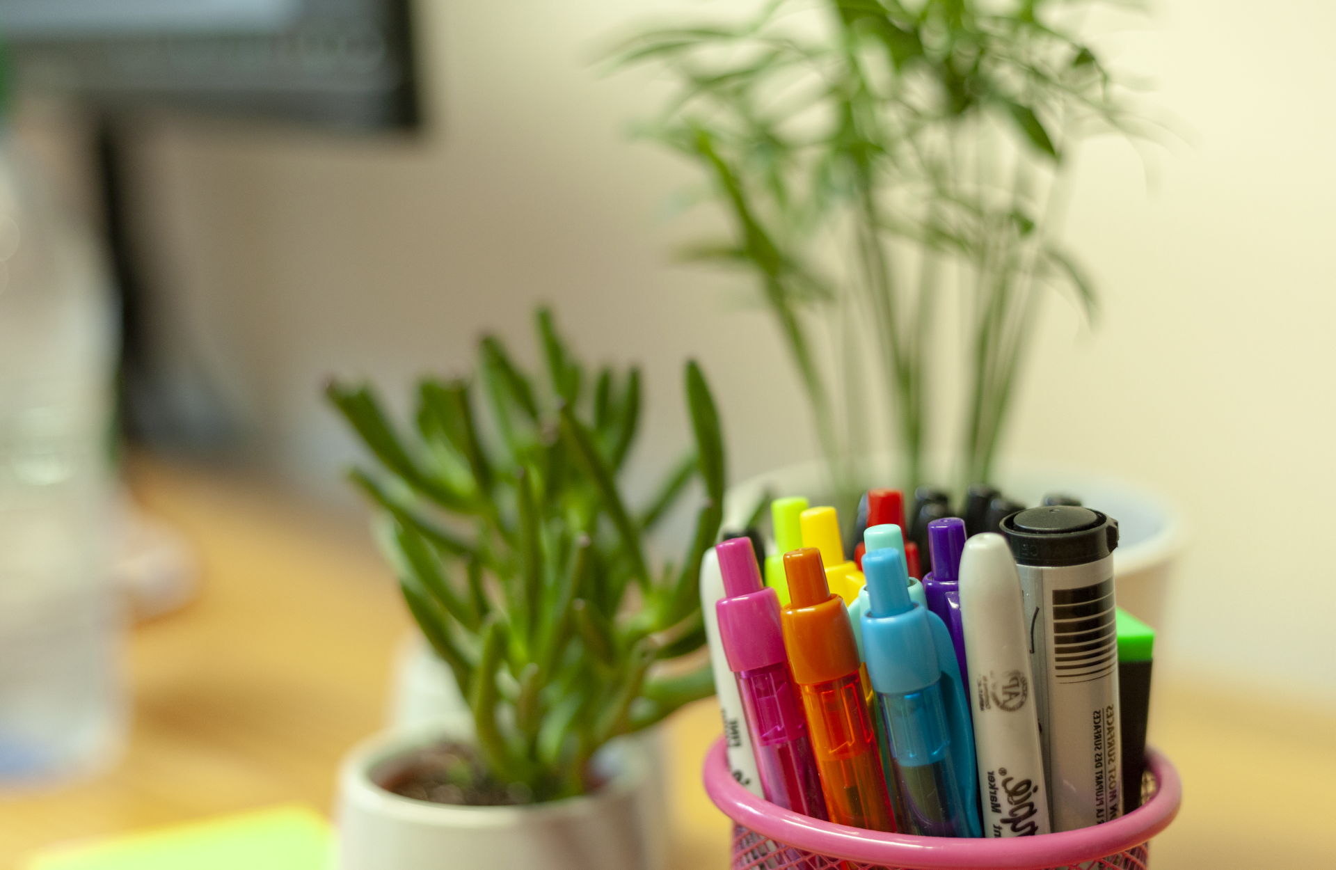 Desk plant and pen holder