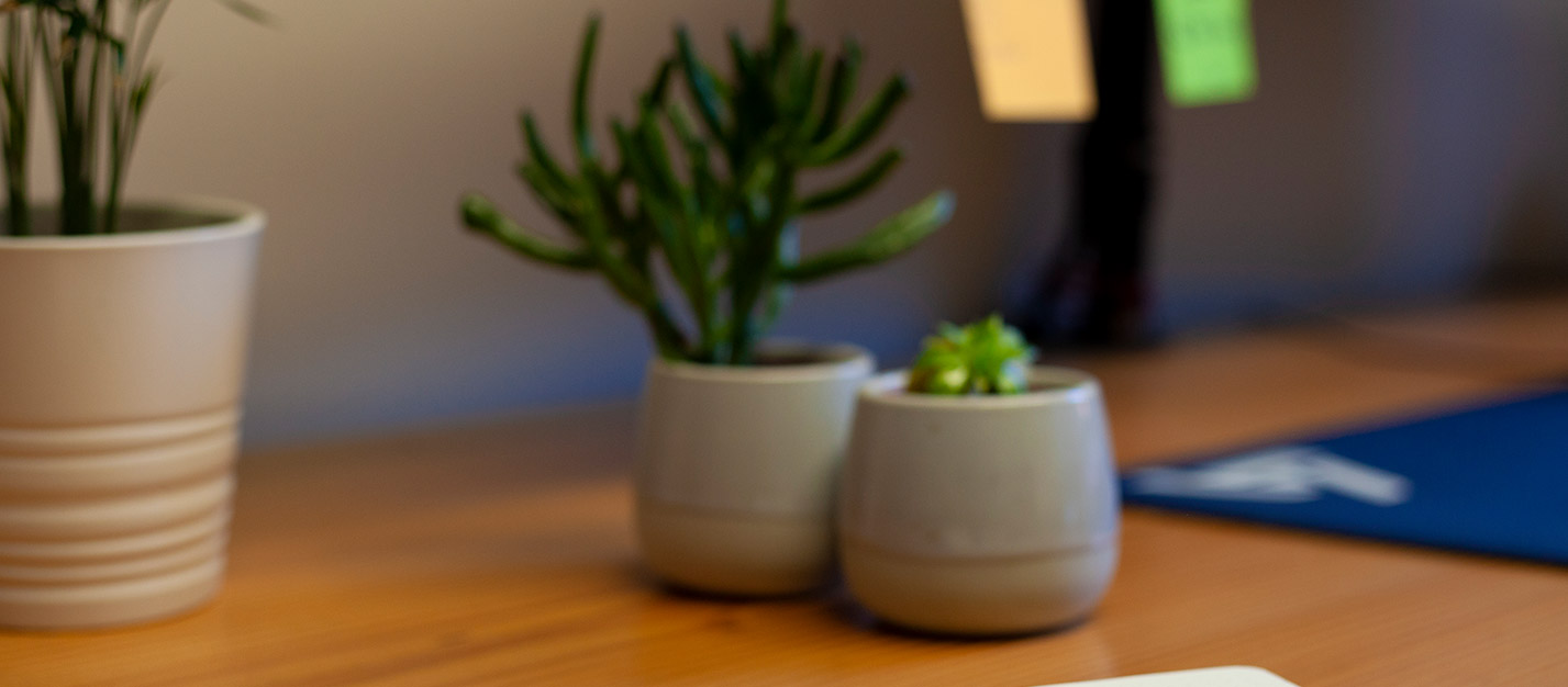 two small plant pots on a wooden desk