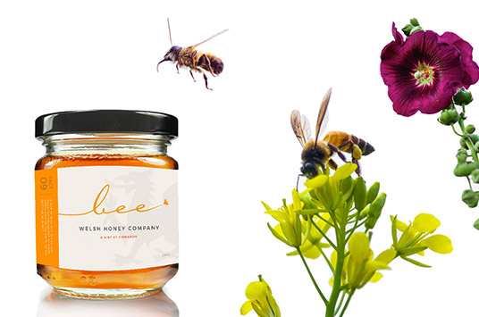 creative branding for honey welsh bee company showing jar of honey, two flowers and bee's