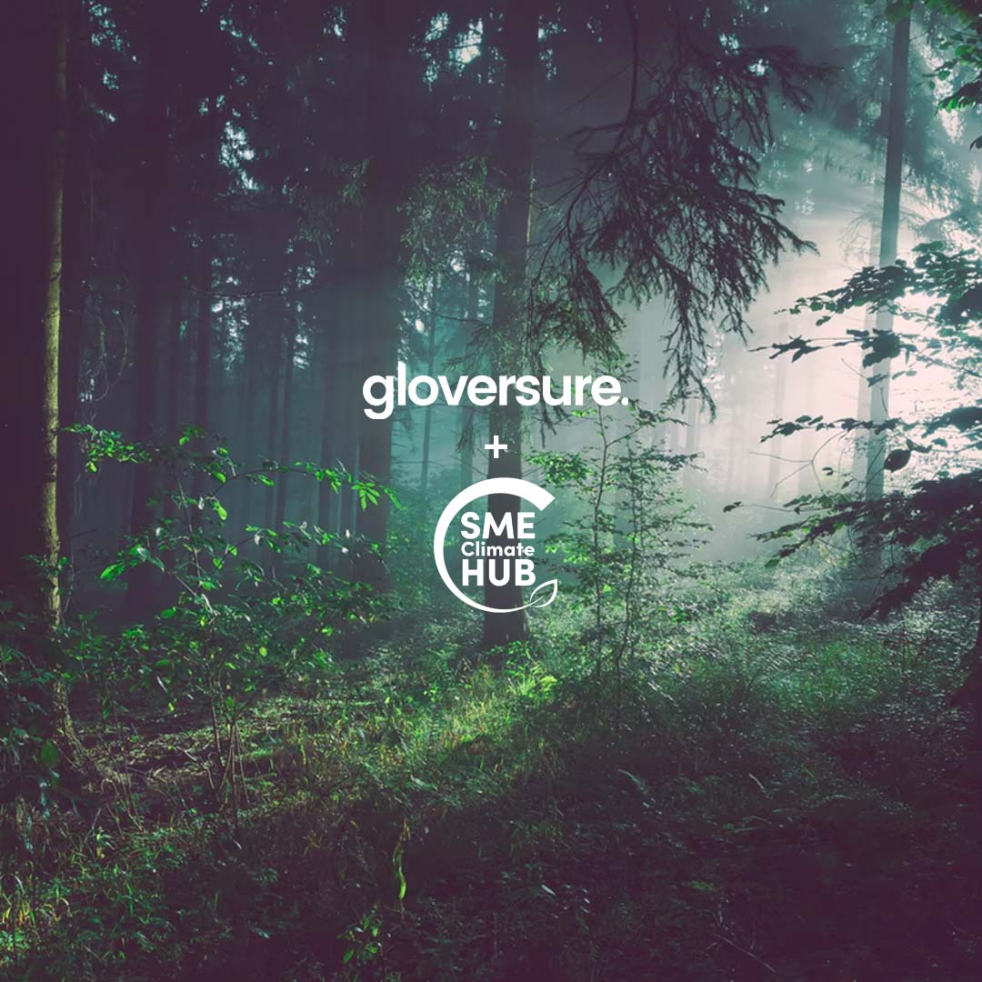 A dark forest with beams of light shining through, with the gloversure and SME Climate Hub logo's in white over it