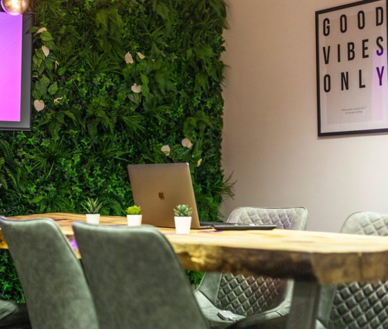 mobile ux agency meeting space with a plant wall